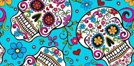 celsalice's profile banner image