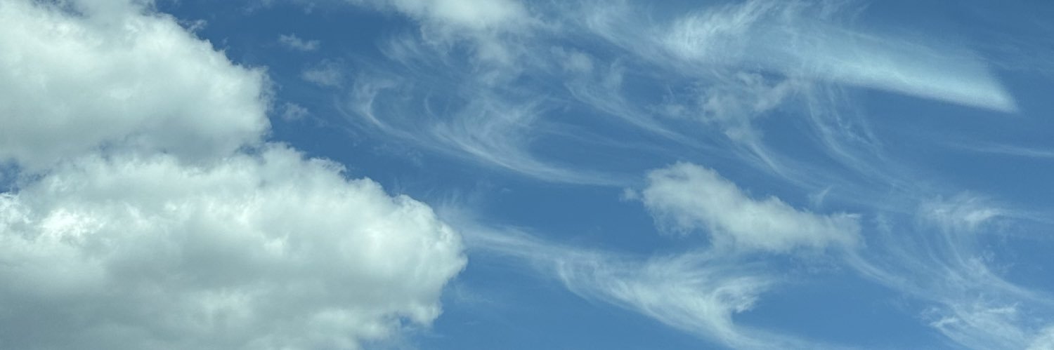 julernst's profile banner image