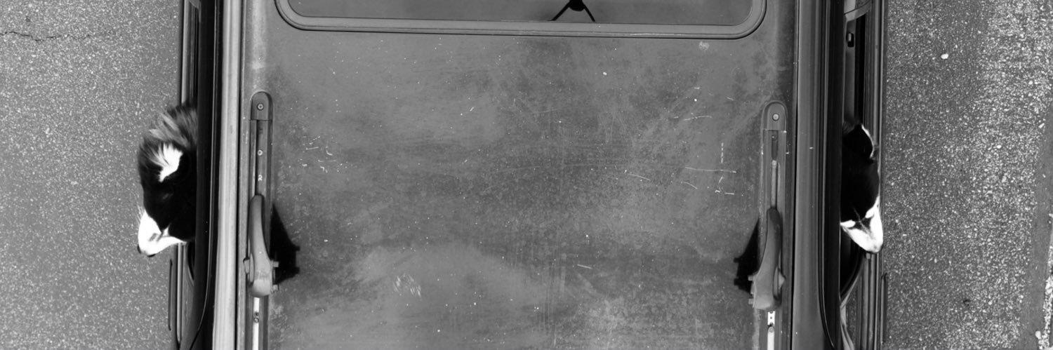 _davidgibbons_'s profile banner image