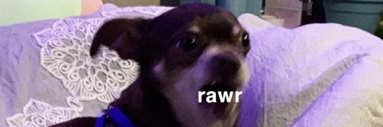 EricsonMarc's profile banner image