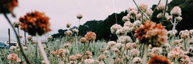 laurapayaf_'s profile banner image