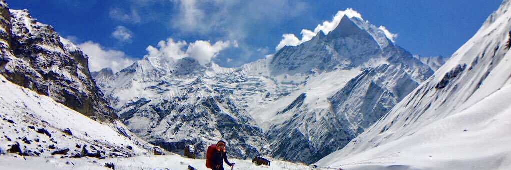 わんたろう@shanti101 banner