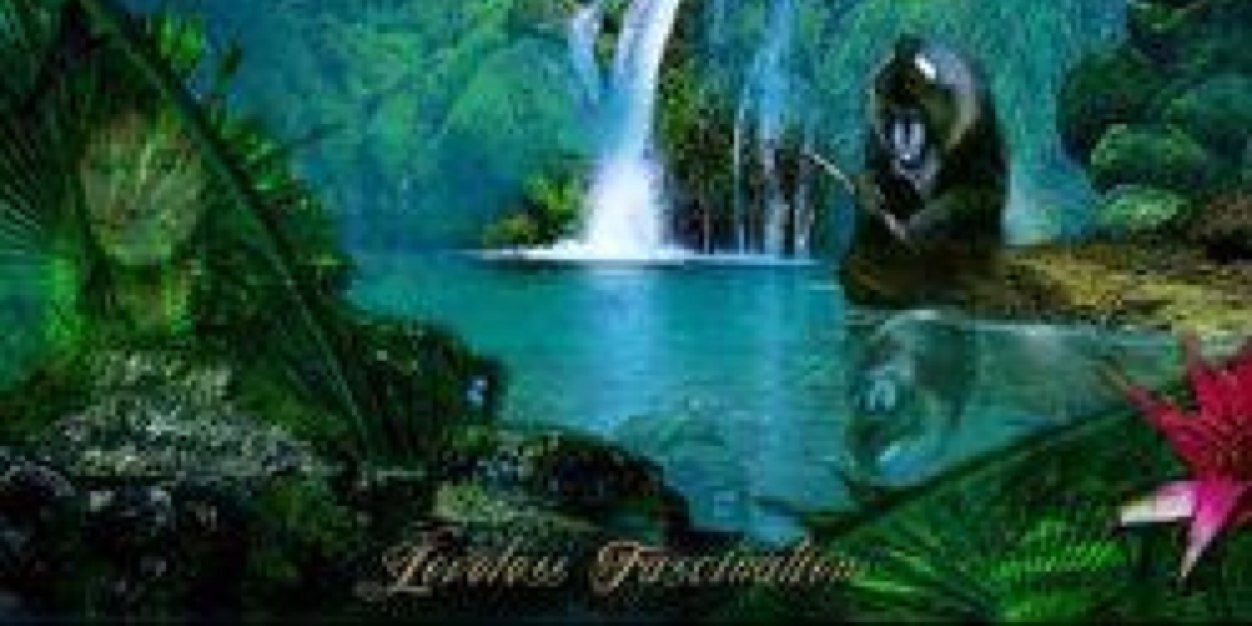 Mickey_Thomas's profile banner image