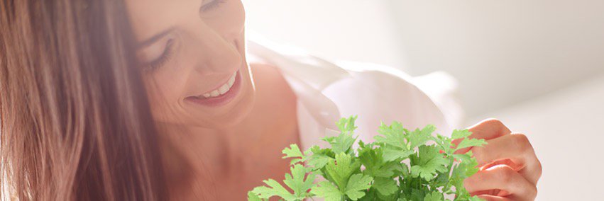 microgrowerUK's profile banner image