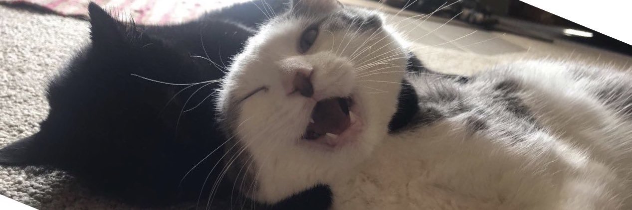 KarrahDavis9's profile banner image
