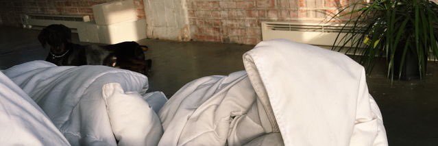 thinbIe's profile banner image