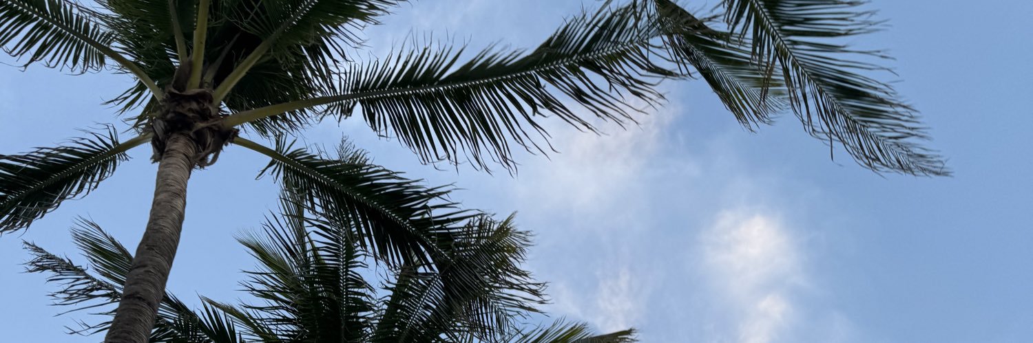 gustavoduartebp's profile banner image