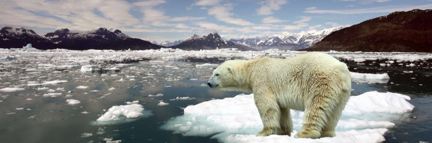 Robt Clements🌍 banner