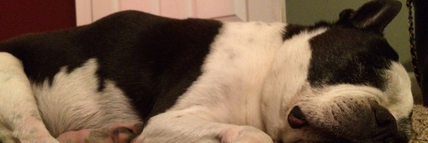 Jess_Neis's profile banner image