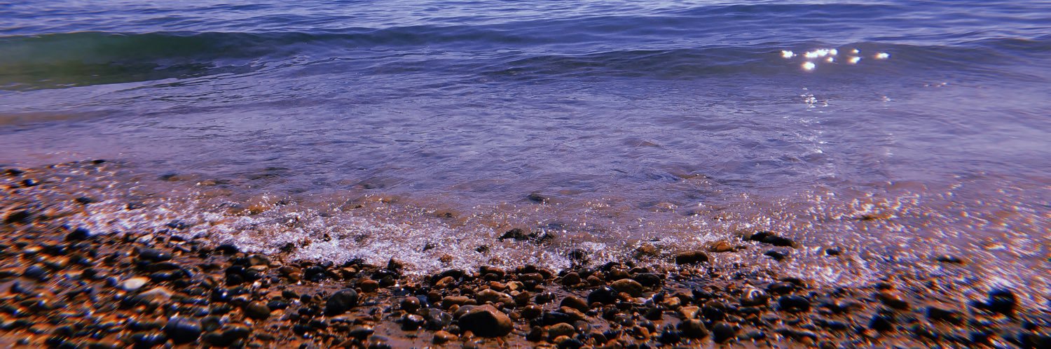 VickyVitkay's profile banner image