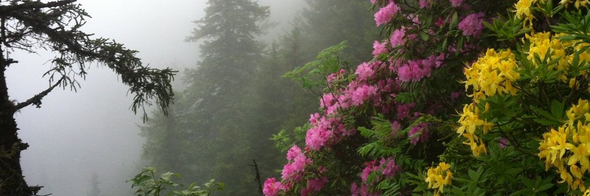 namehanim's profile banner image