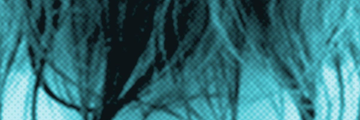 olleobis's profile banner image