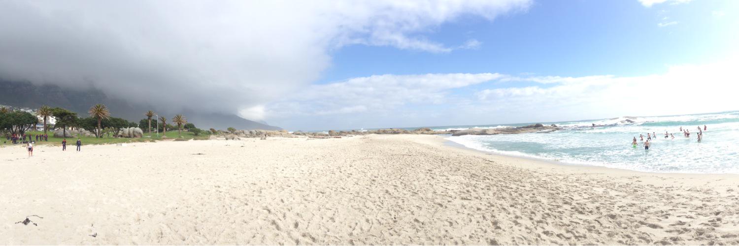 Alex Robertson banner