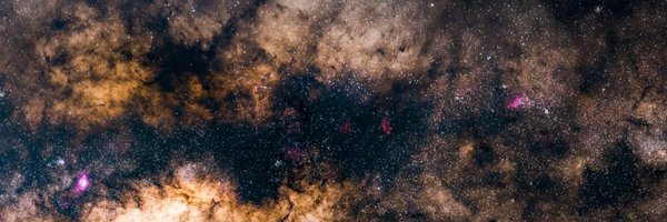 juliataft Profile Banner