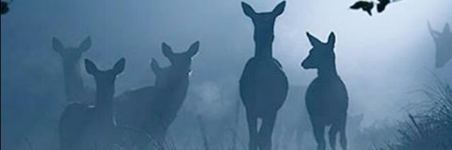 lmkt1's profile banner image