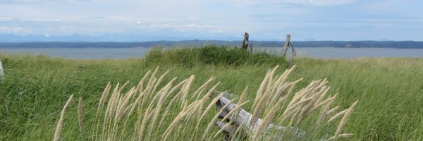 amber_delgaiso Profile Banner