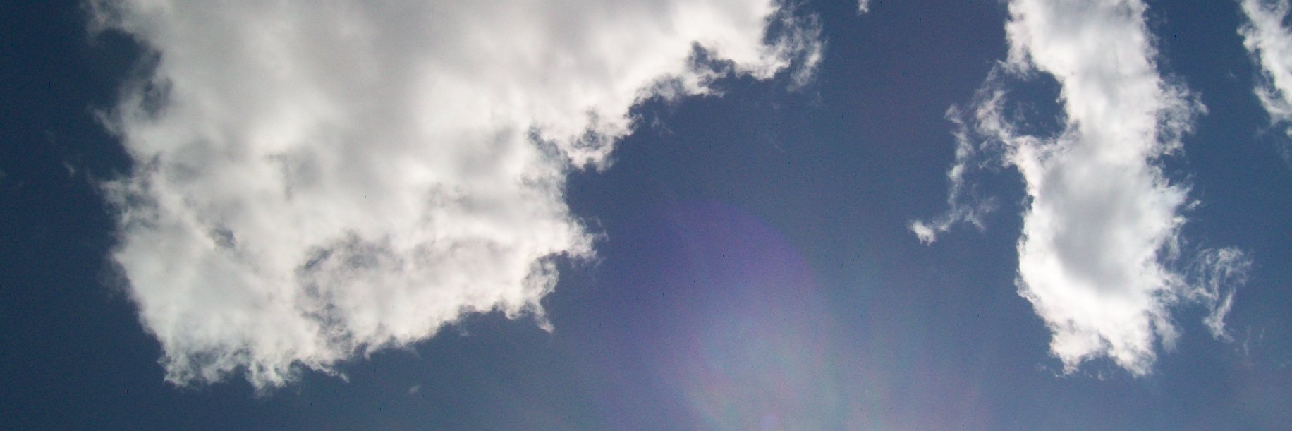 PeaPodHost's profile banner image