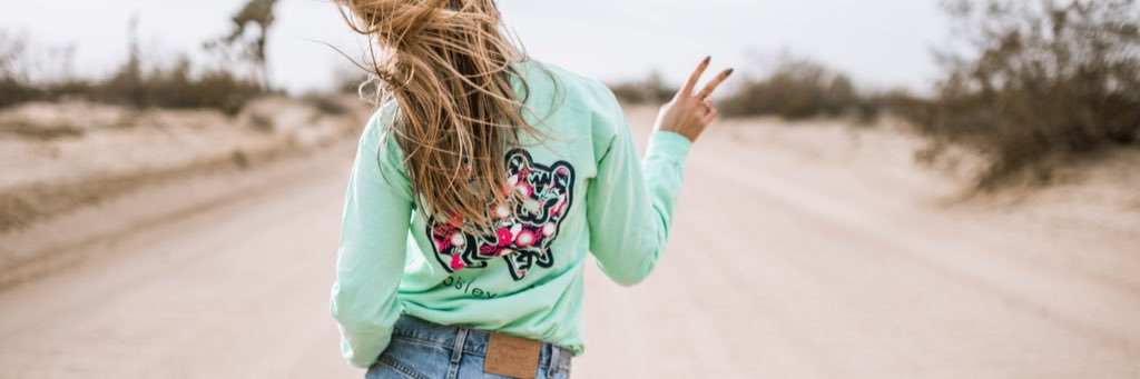 PaisleyTigerCo's profile banner image