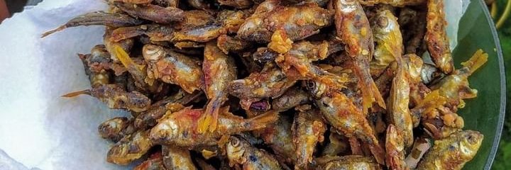 alvescoringa's profile banner image