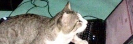 ctrjna's profile banner image