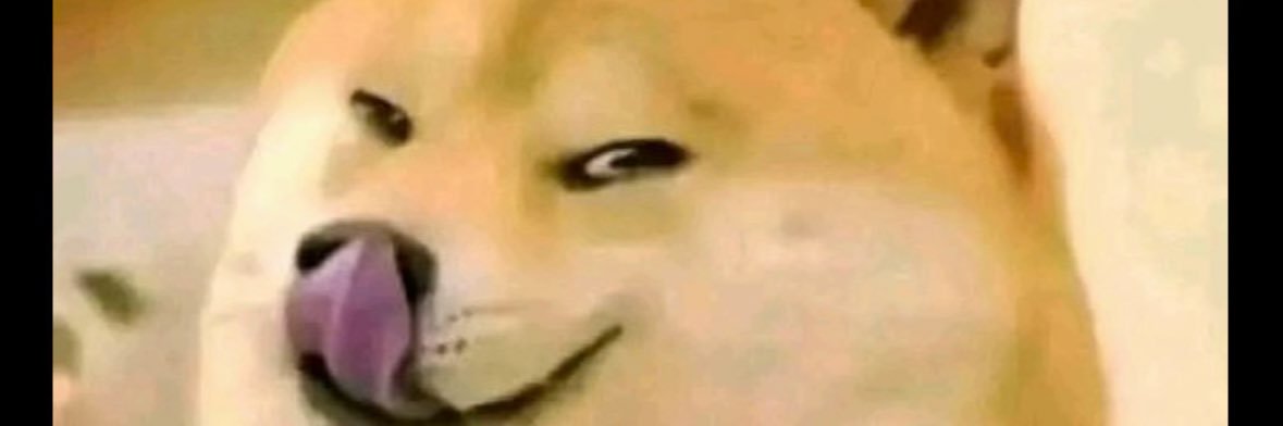 OwO TechLoft 🇻🇦 banner