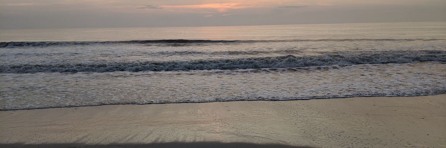nannerbee76's profile banner image