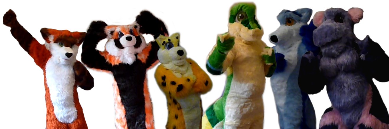 Kitutal's profile banner image