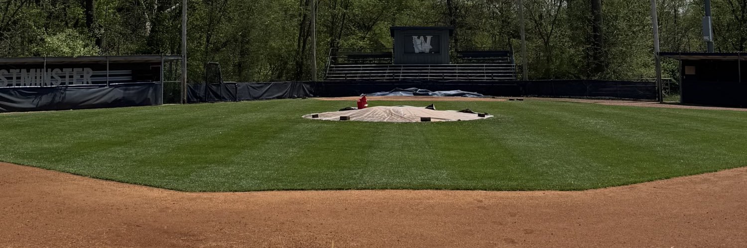 Westminster Baseball banner