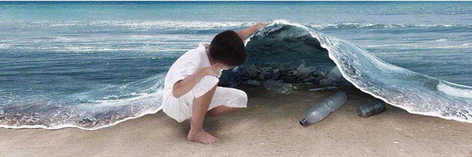 Friends of Palm Beach banner