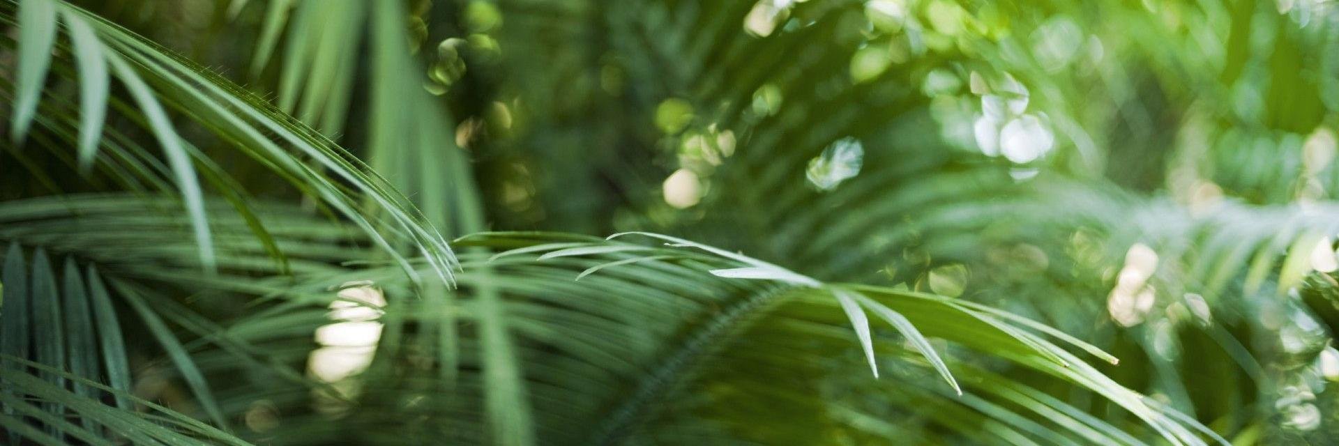 Tassidy's profile banner image