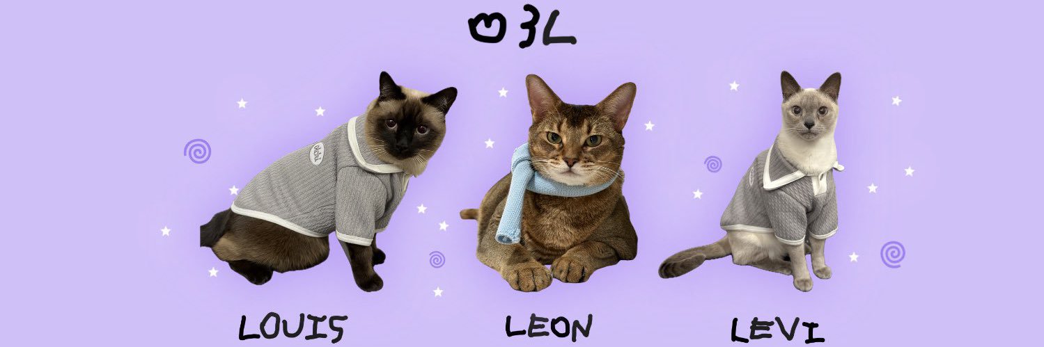 M SO10³ banner