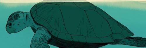 loves2peace's profile banner image