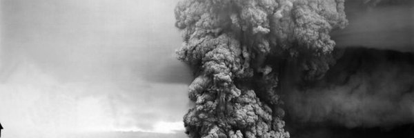 ThoseWillows Profile Banner