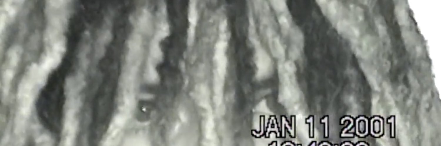 GARZI's banner