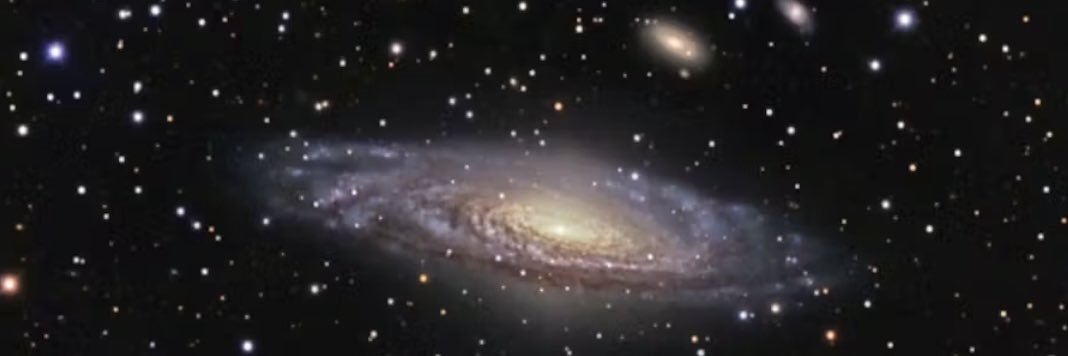 Jana Grok banner