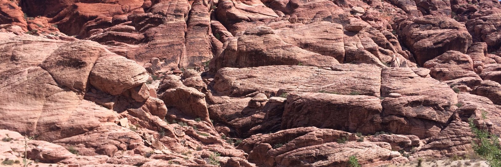 adamrowsey's profile banner image