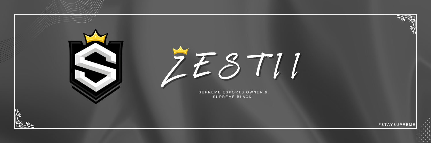 ZesTii👑 banner