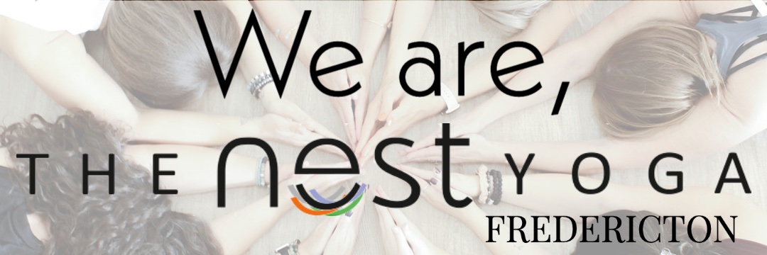 nestyogafreddy's profile banner image