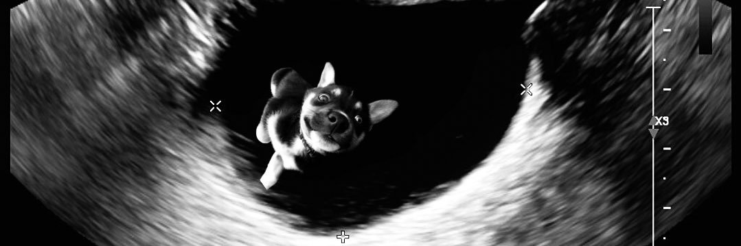 barelyasianFR's profile banner image