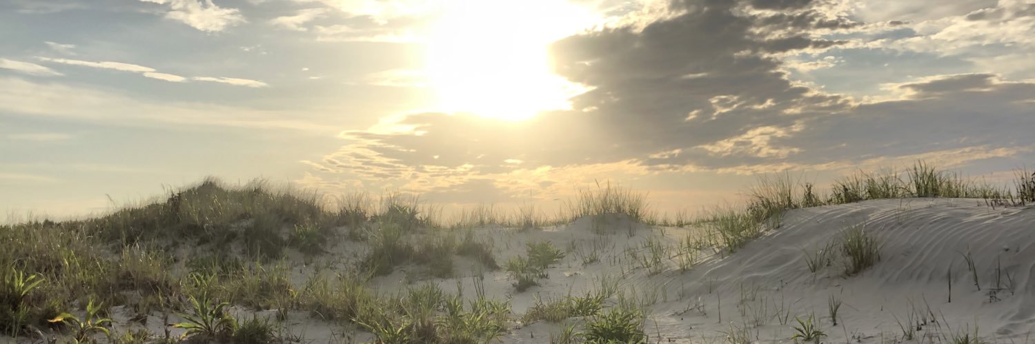 abbmull's profile banner image