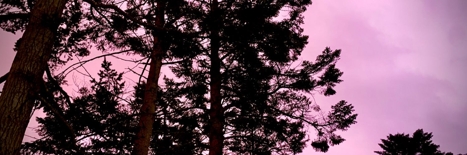 CoCreate01's profile banner image