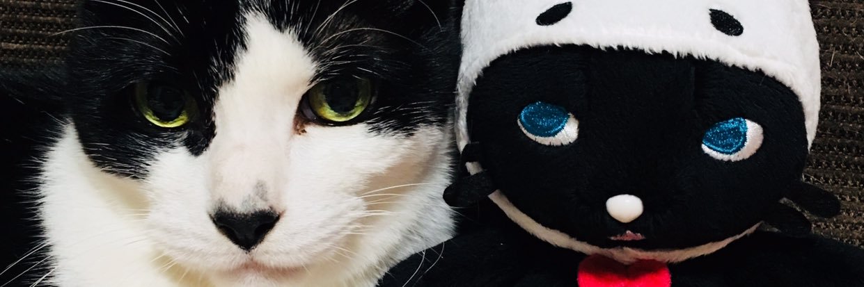 ざらめ@エツでもある banner