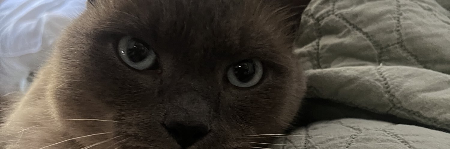amiaschulz's profile banner image