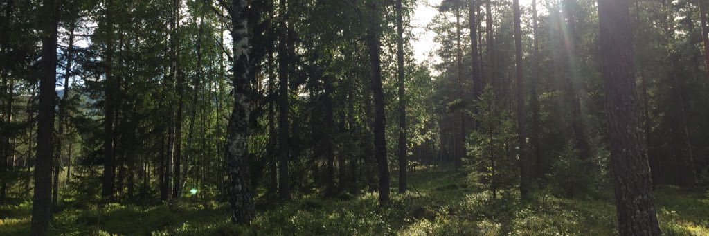 arisnerr's profile banner image