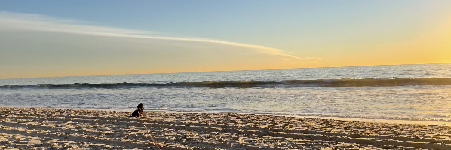 sydneytemerson's profile banner image