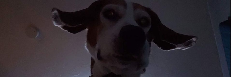 MatthewDonald17's profile banner image