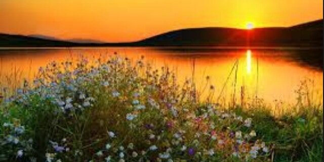 Ansley. banner