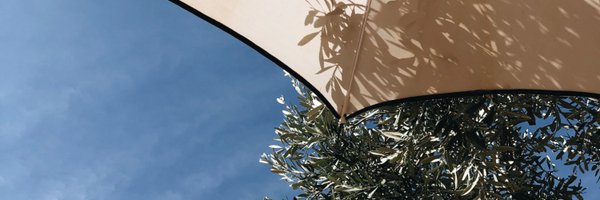 segibb Profile Banner