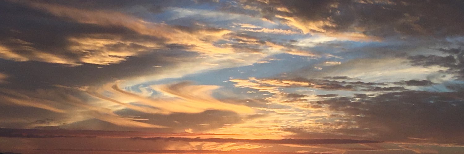 gabriellefimbr1's profile banner image