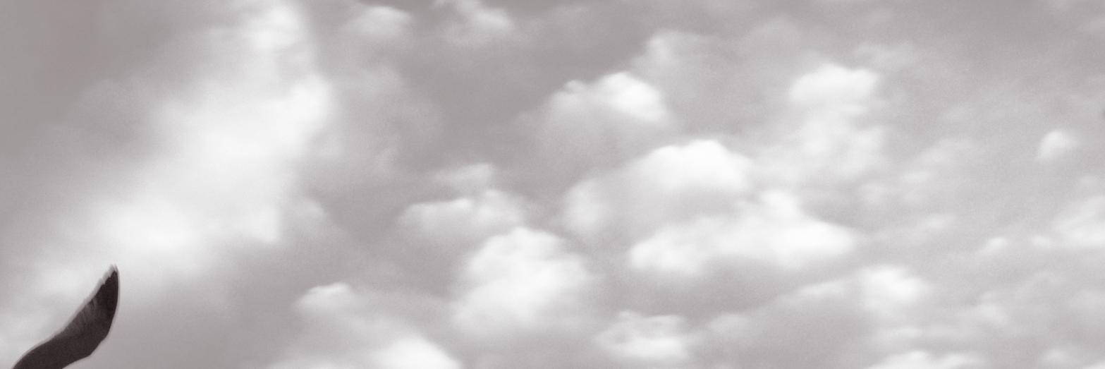 melaniecooke's profile banner image